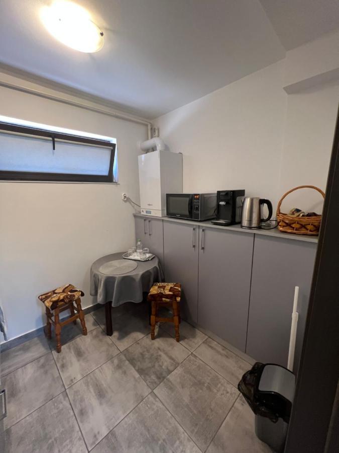 Vila Dan Galaţi Exteriér fotografie